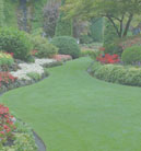 激活网站可靠的DDOS压力测试